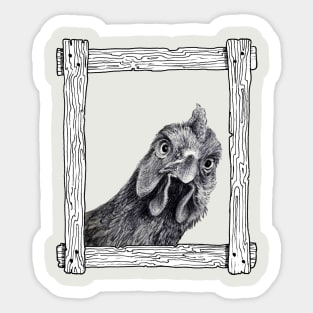 Funny Chicken in a Frame Sticker